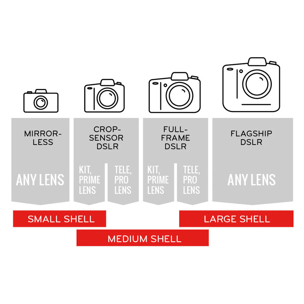 Shell | Small - Image 6